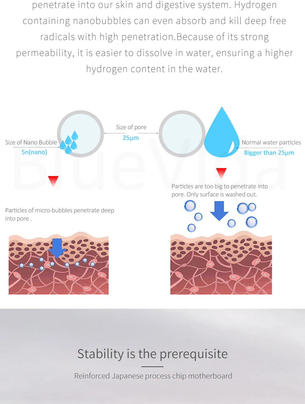 BlueVida Hydrogen Water Generator